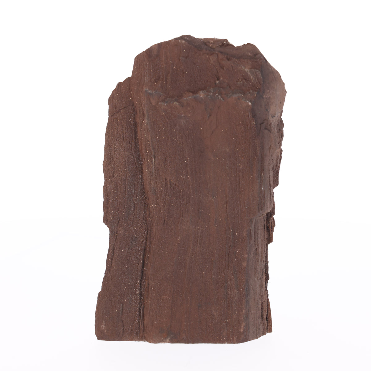 Feenholz mit natürlicher Kristallbildung | Versteinertes Holz aus Zwenkau | 1784 g (#1466)