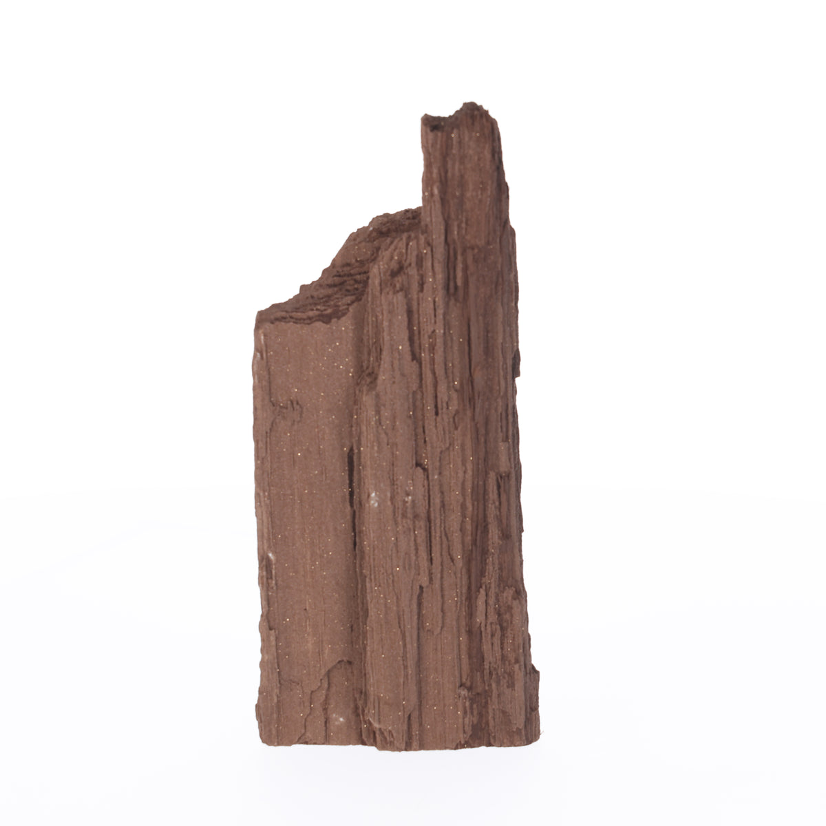 Feenholz mit natürlicher Kristallbildung | Versteinertes Holz aus Zwenkau | 880 g (#1465)