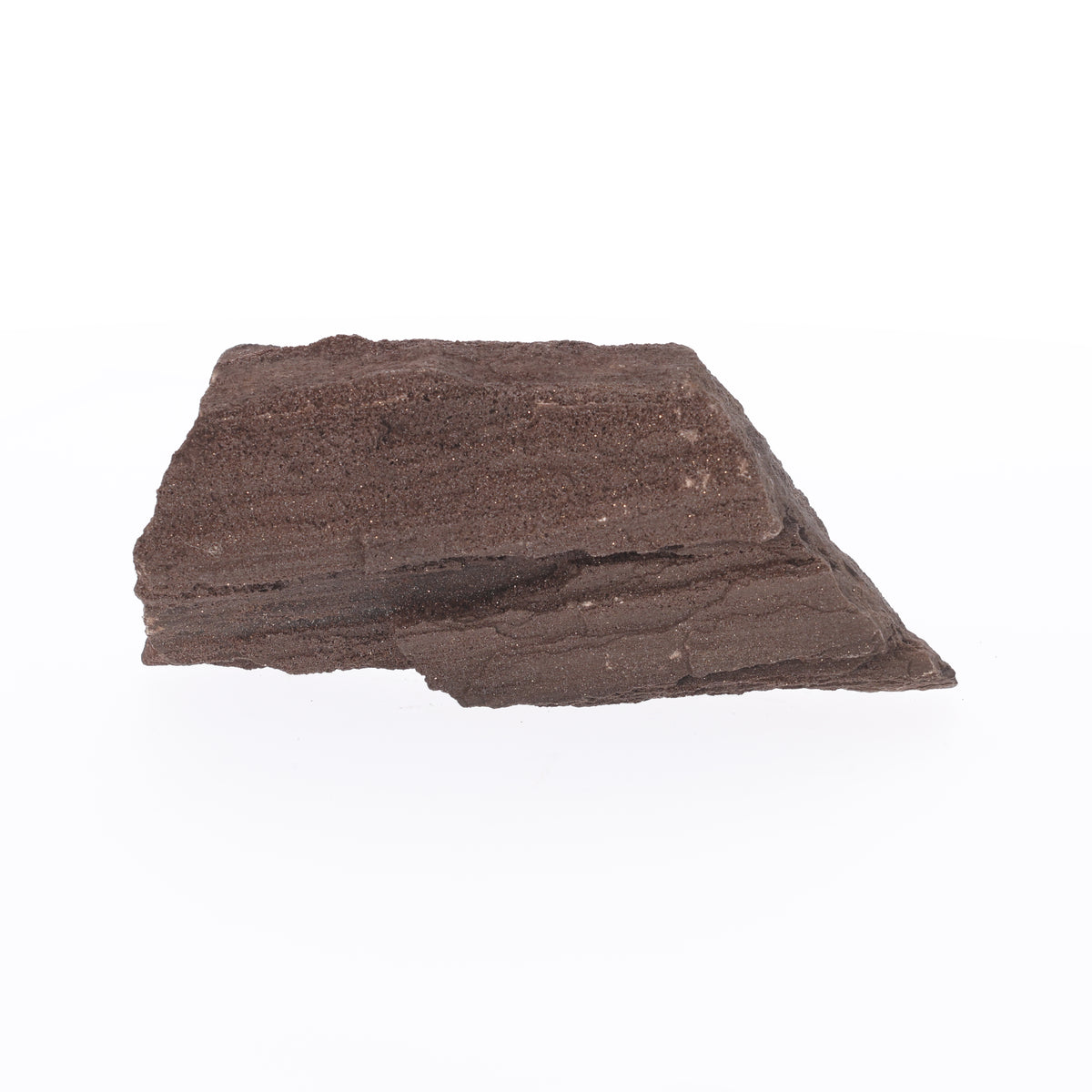 Feenholz mit natürlicher Kristallbildung | Versteinertes Holz aus Zwenkau | 825 g (#1470)