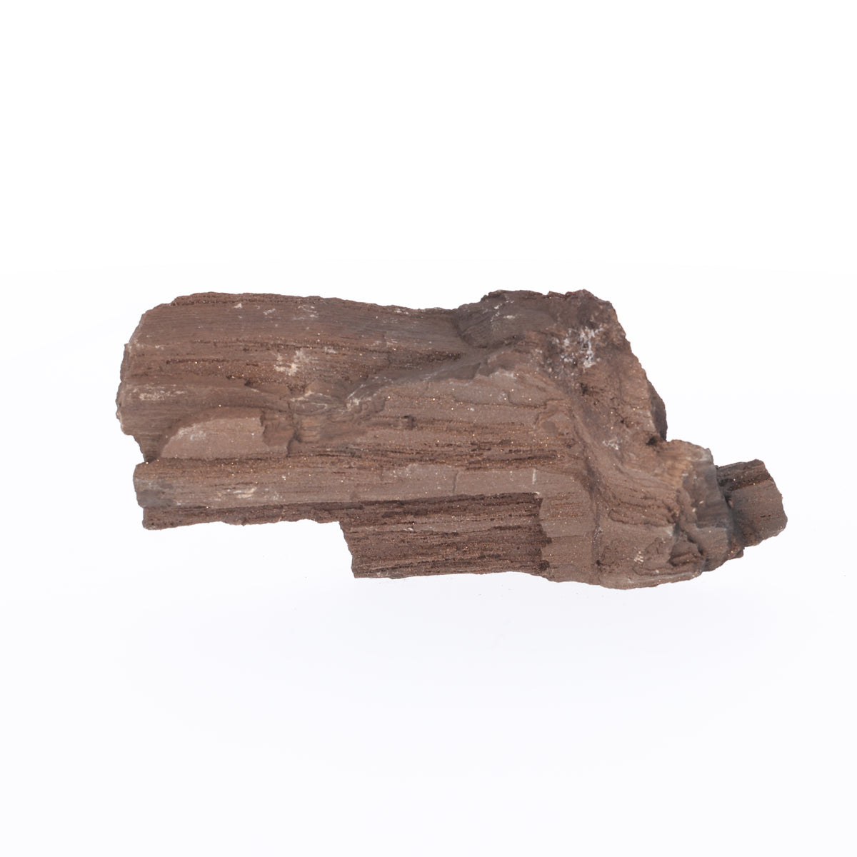 Feenholz mit natürlicher Kristallbildung | Versteinertes Holz aus Zwenkau | 457 g (#1471)