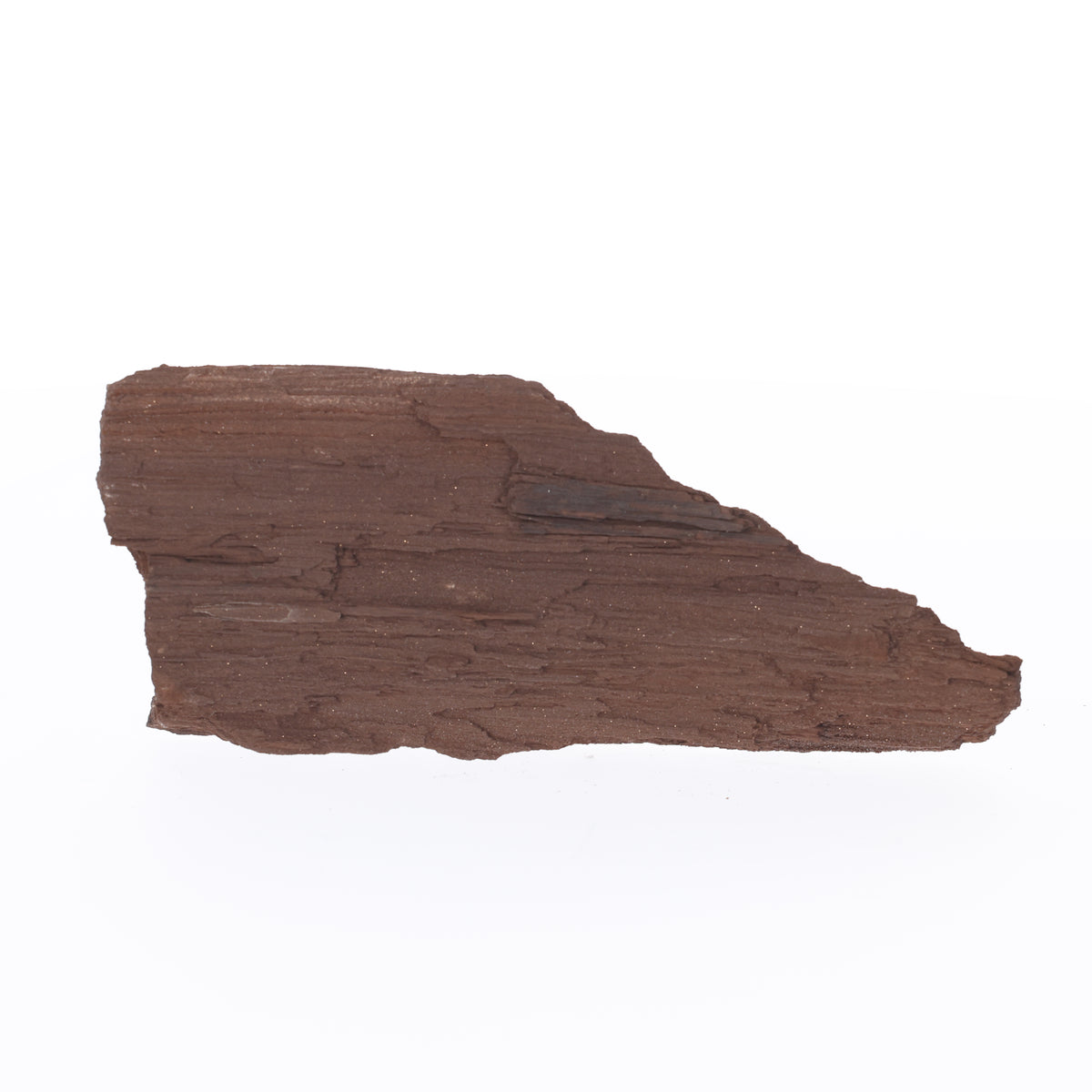 Feenholz mit natürlicher Kristallbildung | Versteinertes Holz aus Zwenkau | 335 g (#1472)