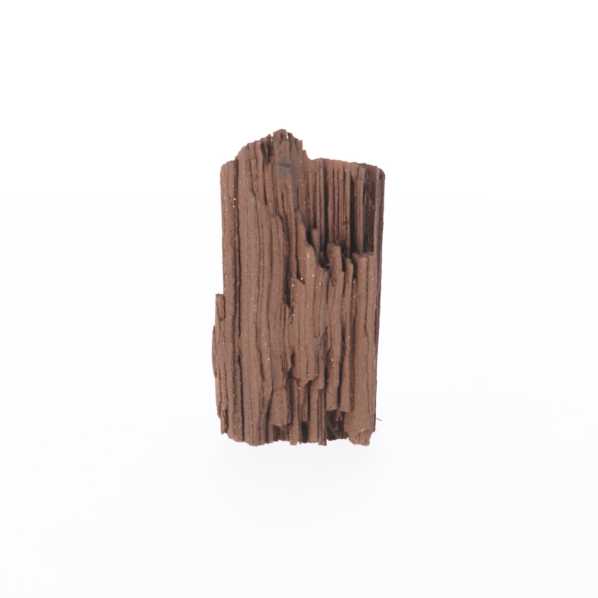 Feenholz mit natürlicher Kristallbildung | Versteinertes Holz aus Zwenkau | 360 g (#1469)