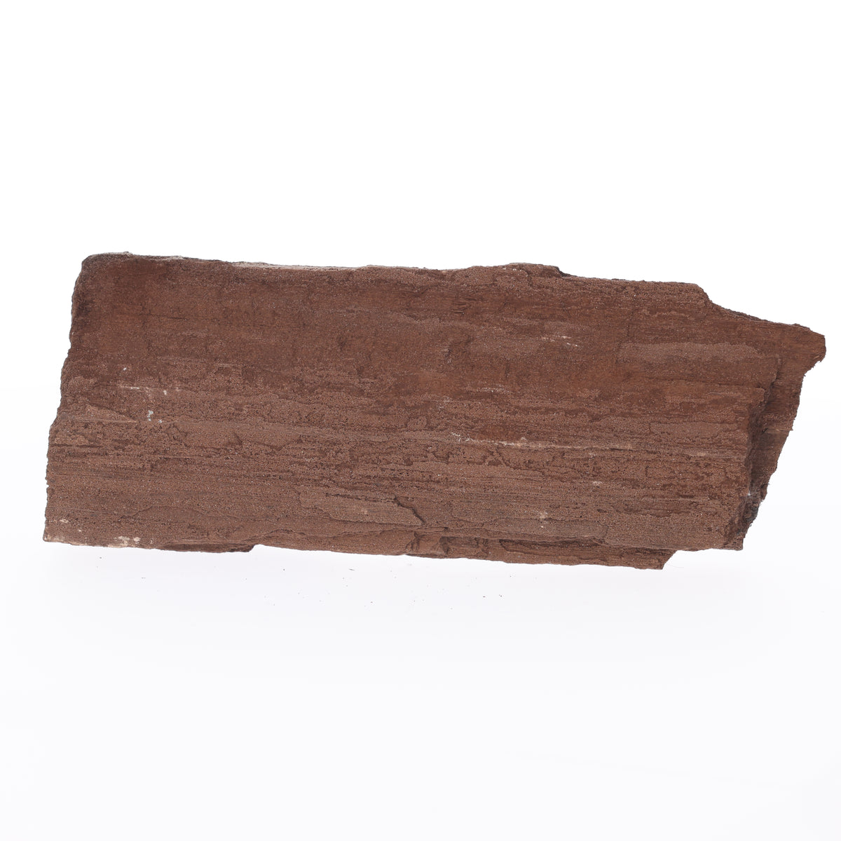 Feenholz mit natürlicher Kristallbildung | Versteinertes Holz aus Zwenkau | 2006 g(#1474)