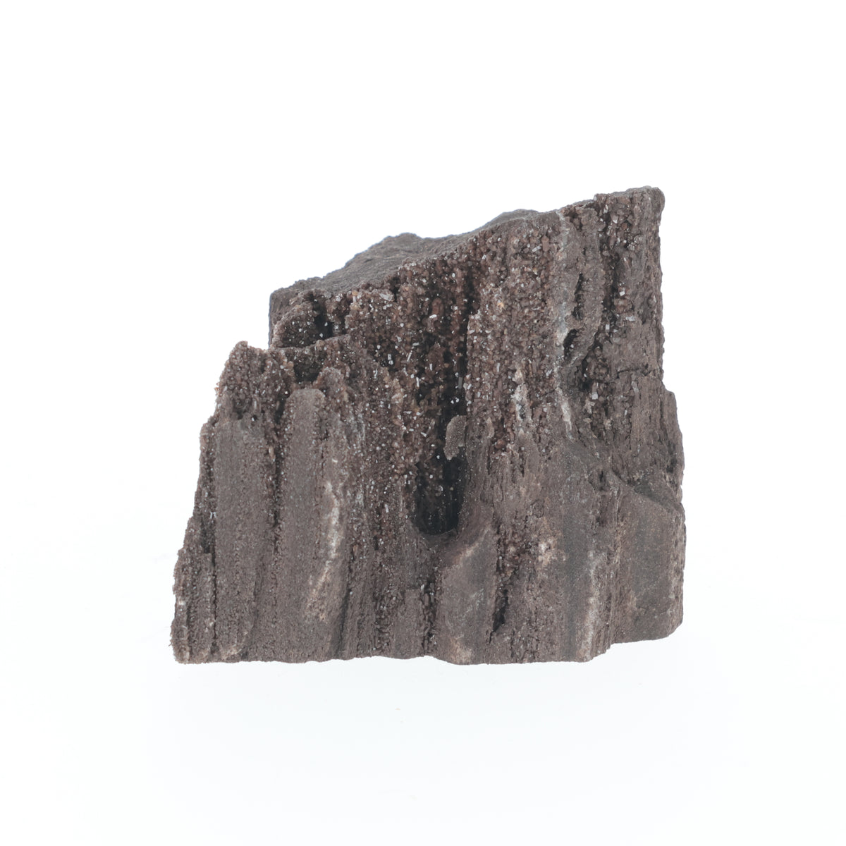 Feenholz mit natürlicher Kristallbildung | Versteinertes Holz aus Zwenkau | 175 g (#1544)