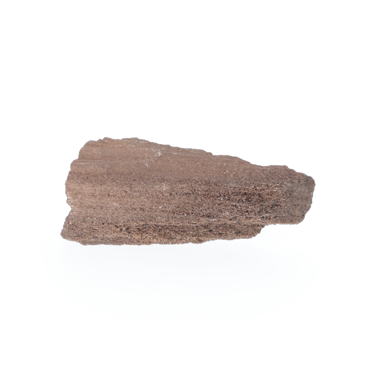 Feenholz mit natürlicher Kristallbildung | Versteinertes Holz aus Zwenkau | 117 g (#1539)