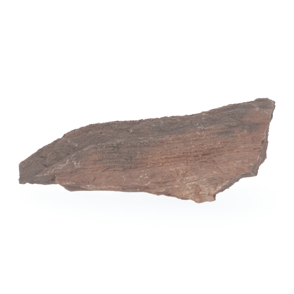 Feenholz mit natürlicher Kristallbildung | Versteinertes Holz aus Zwenkau | 144 g (#1538)