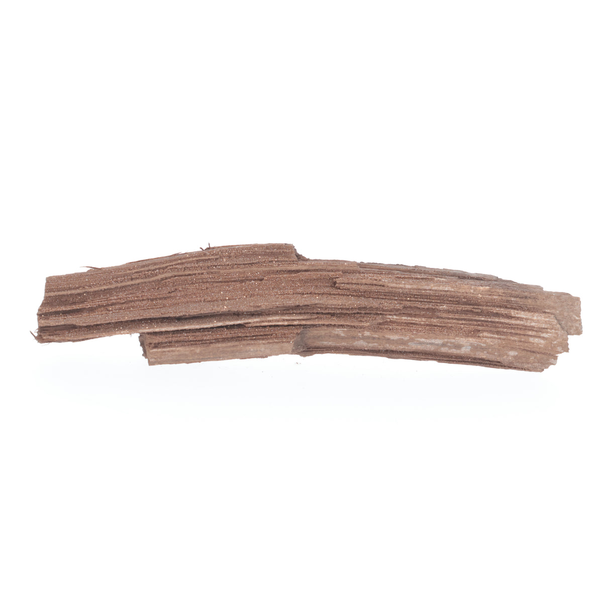 Feenholz mit natürlicher Kristallbildung | Versteinertes Holz aus Zwenkau | 113 g (#1540)