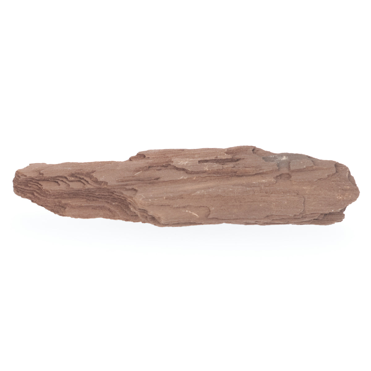 Feenholz mit natürlicher Kristallbildung | Versteinertes Holz aus Zwenkau | 227 g (#1542)