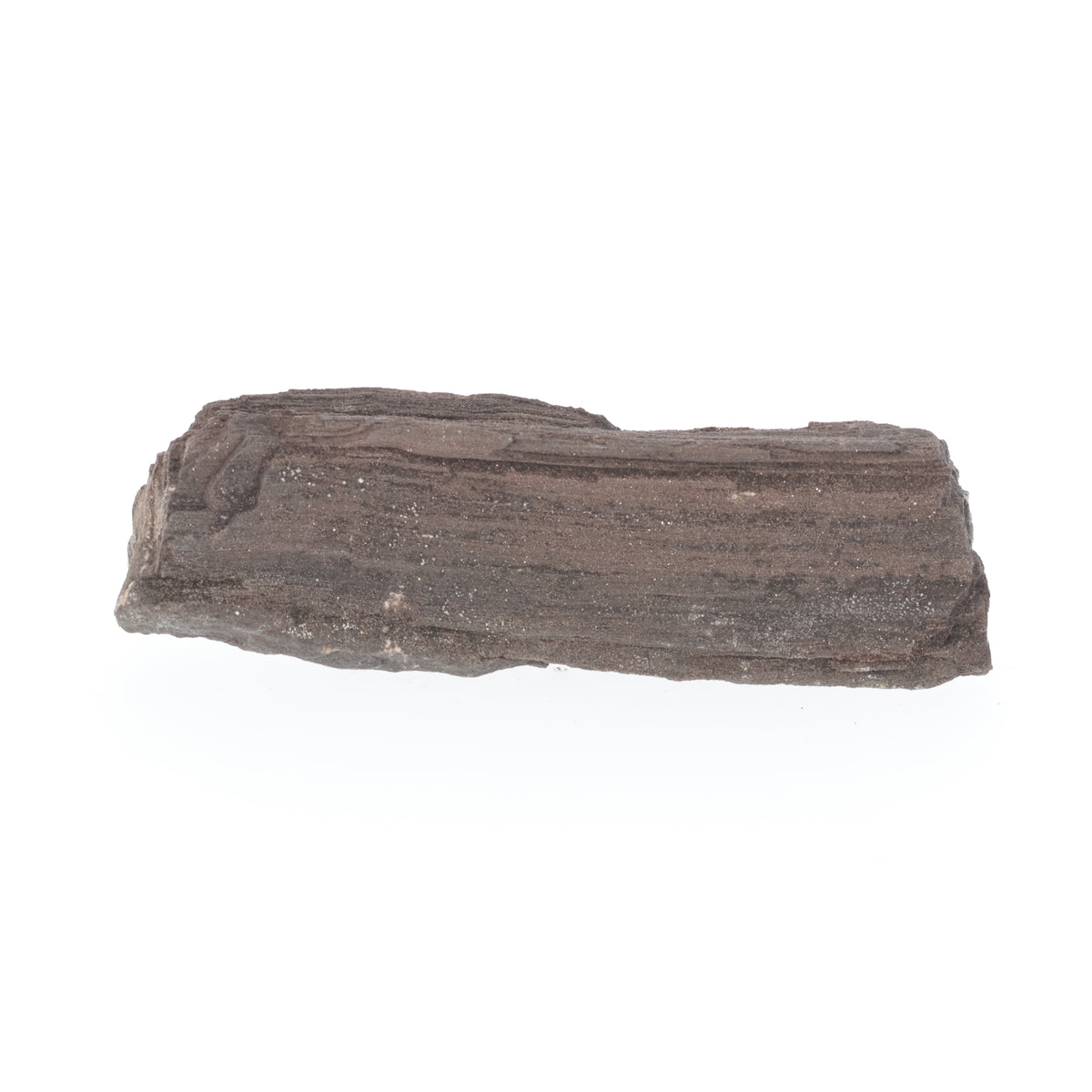 Feenholz mit natürlicher Kristallbildung | Versteinertes Holz aus Zwenkau | 268 g (#1537)