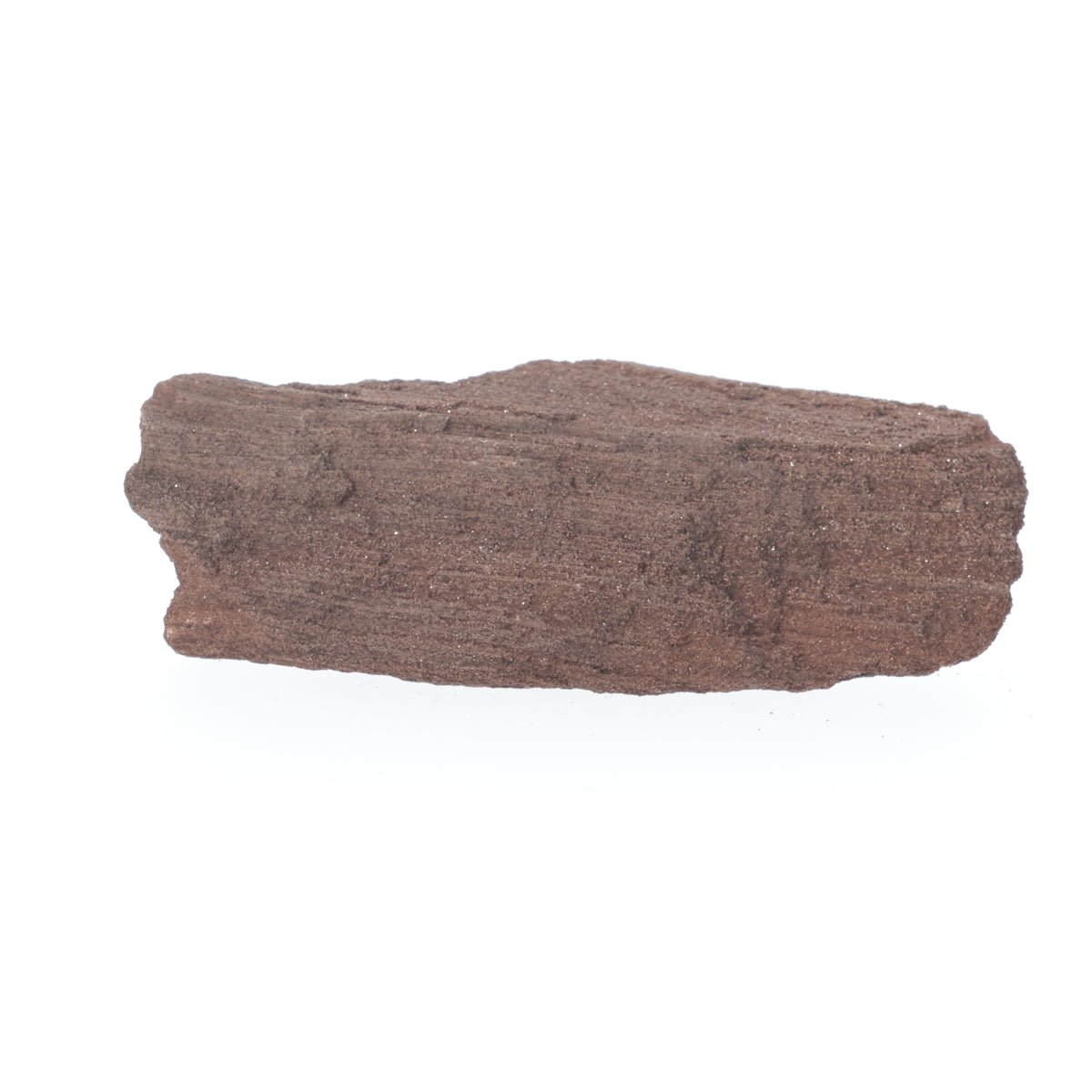 Feenholz mit natürlicher Kristallbildung | Versteinertes Holz aus Zwenkau | 198 g (#1546)