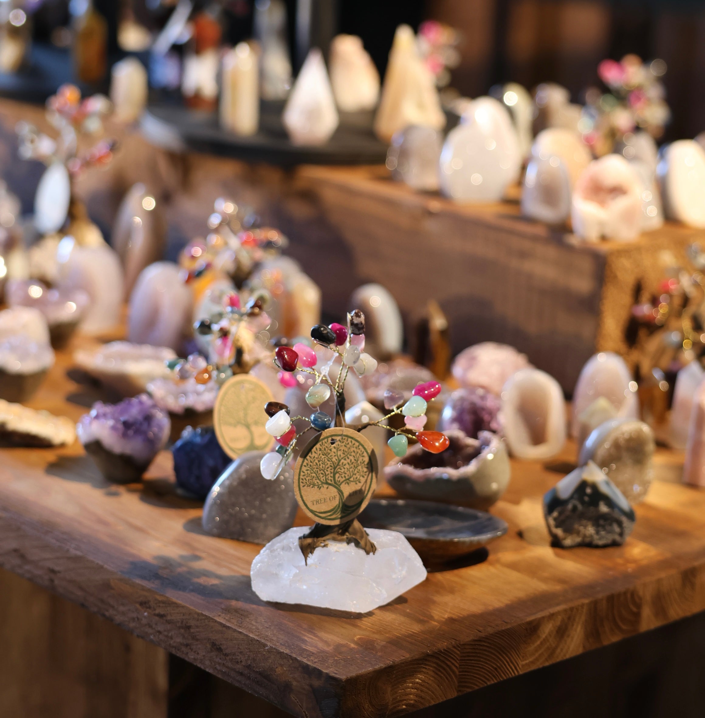 Mini Lebensbaum auf Amethyst/Bergkristall (#376)