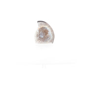 Lunaria – Achat-Geode mit Kristalldruse. (#399)