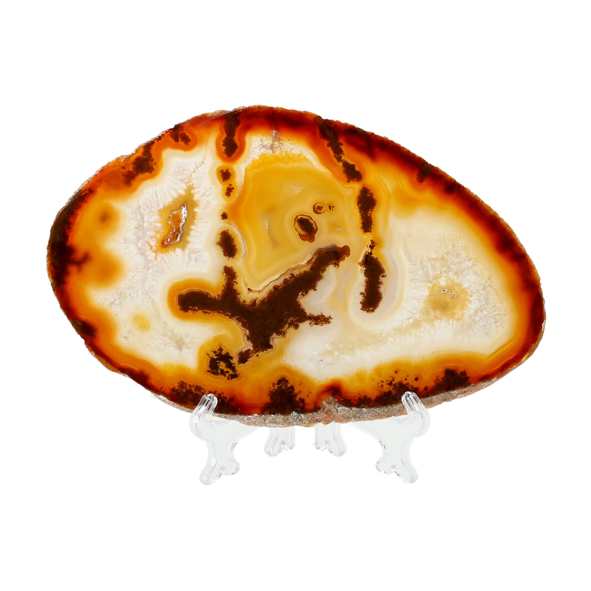 Golden Flame Agate Slice - Luminous Center & Flowing Contrasts