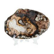 Wild Earth Agate Slice - Organic Textures & Natural Contrasts