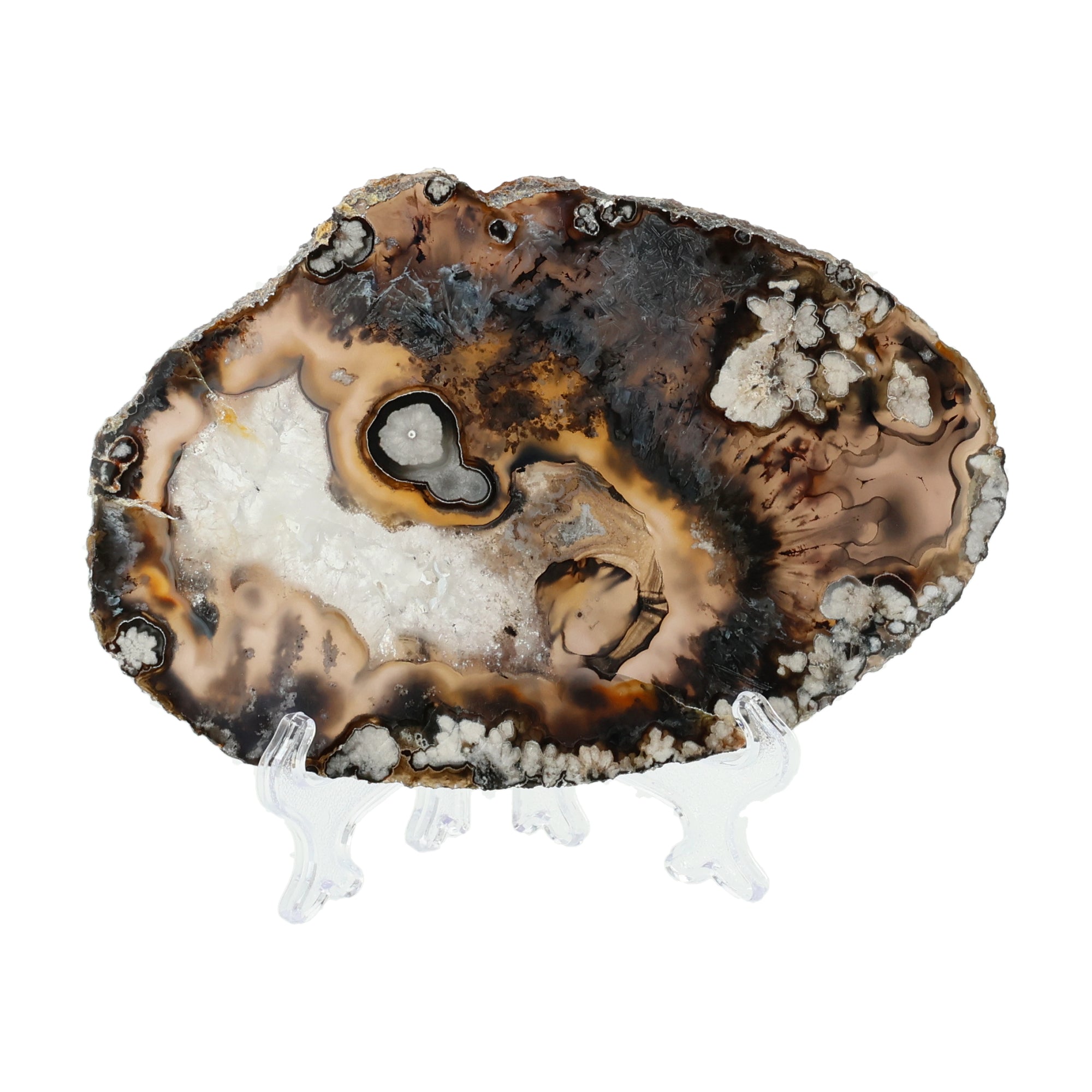 Wild Earth Agate Slice - Organic Textures & Natural Contrasts