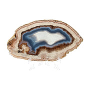 Blue Core Achat Scheibe - tiefblauer Kern & natürliche Änderung in Beige- und Erdtönen (#165)