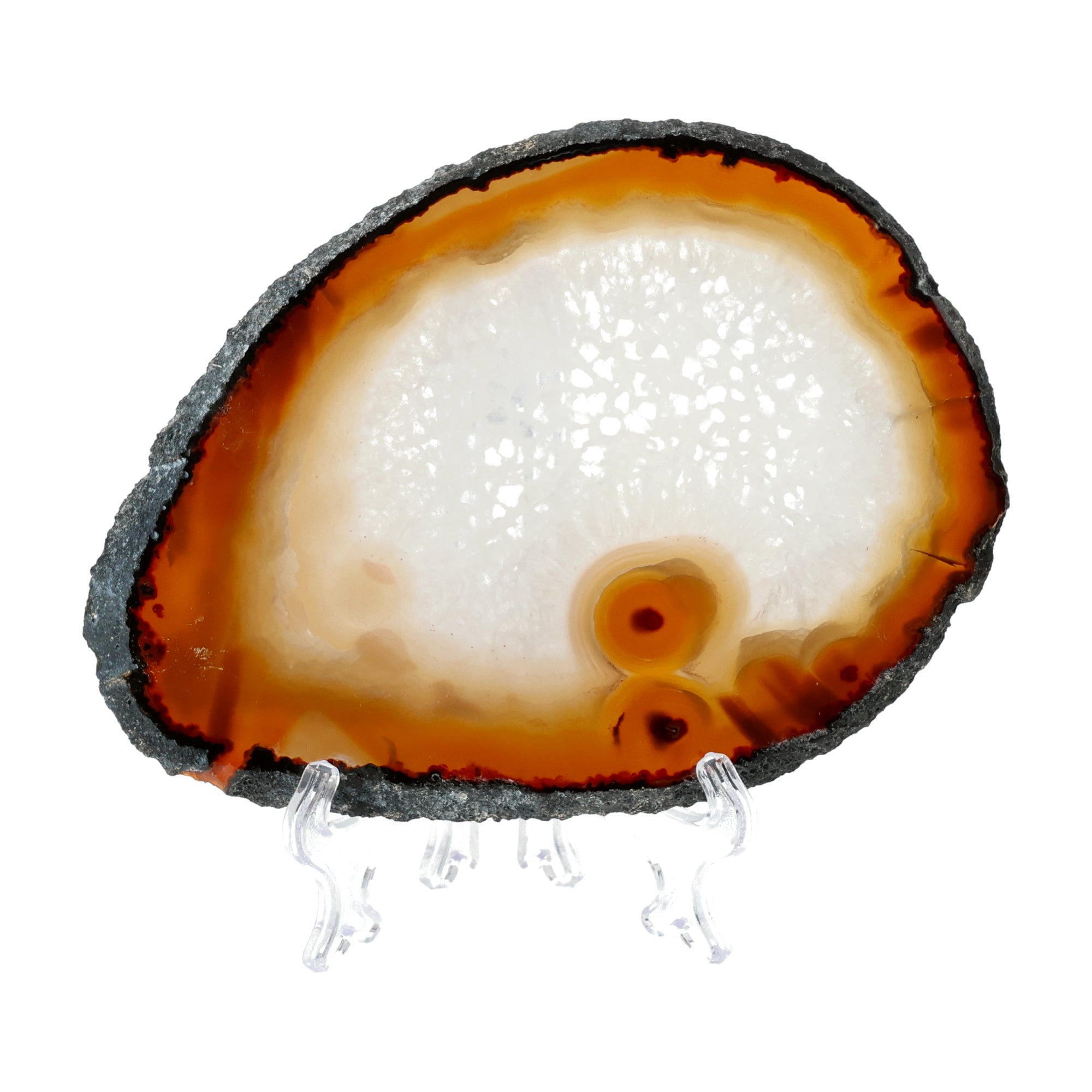 Solar Glow Agate Slice with Light Center and Fire Edge