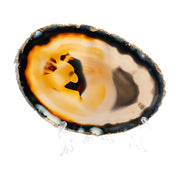 Golden Amber Core - handverlesenes Unikat