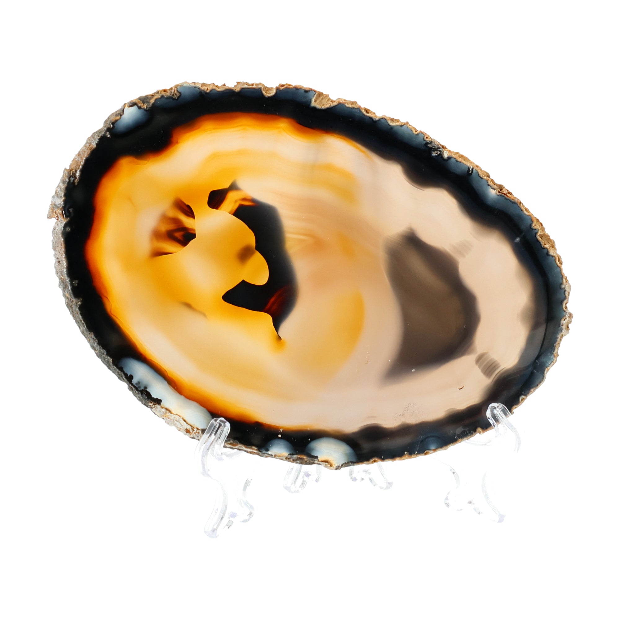 Golden Amber Core - hand-picked unique specimen