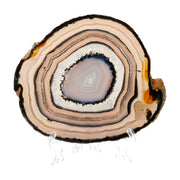 Dessert Eye - Agate Slice - 178g (#161)