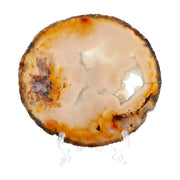 Amber Nebula Achat Scheibe - Struktur in warmen Bernstein- und Naturtönen (#173)