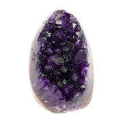 Mehrere hochwertige Amethyst Mini Cut Bases aus Uruguay mit dicht gewachsenen, tiefvioletten Kristallen auf einer Präsentationsfläche.
