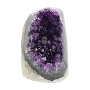 Mehrere hochwertige Amethyst Mini Cut Bases aus Uruguay mit dicht gewachsenen, tiefvioletten Kristallen auf einer Präsentationsfläche.