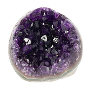 Mehrere hochwertige Amethyst Mini Cut Bases aus Uruguay mit dicht gewachsenen, tiefvioletten Kristallen auf einer Präsentationsfläche.