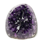 Mehrere hochwertige Amethyst Mini Cut Bases aus Uruguay mit dicht gewachsenen, tiefvioletten Kristallen auf einer Präsentationsfläche.