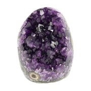 Mehrere hochwertige Amethyst Mini Cut Bases aus Uruguay mit dicht gewachsenen, tiefvioletten Kristallen auf einer Präsentationsfläche.