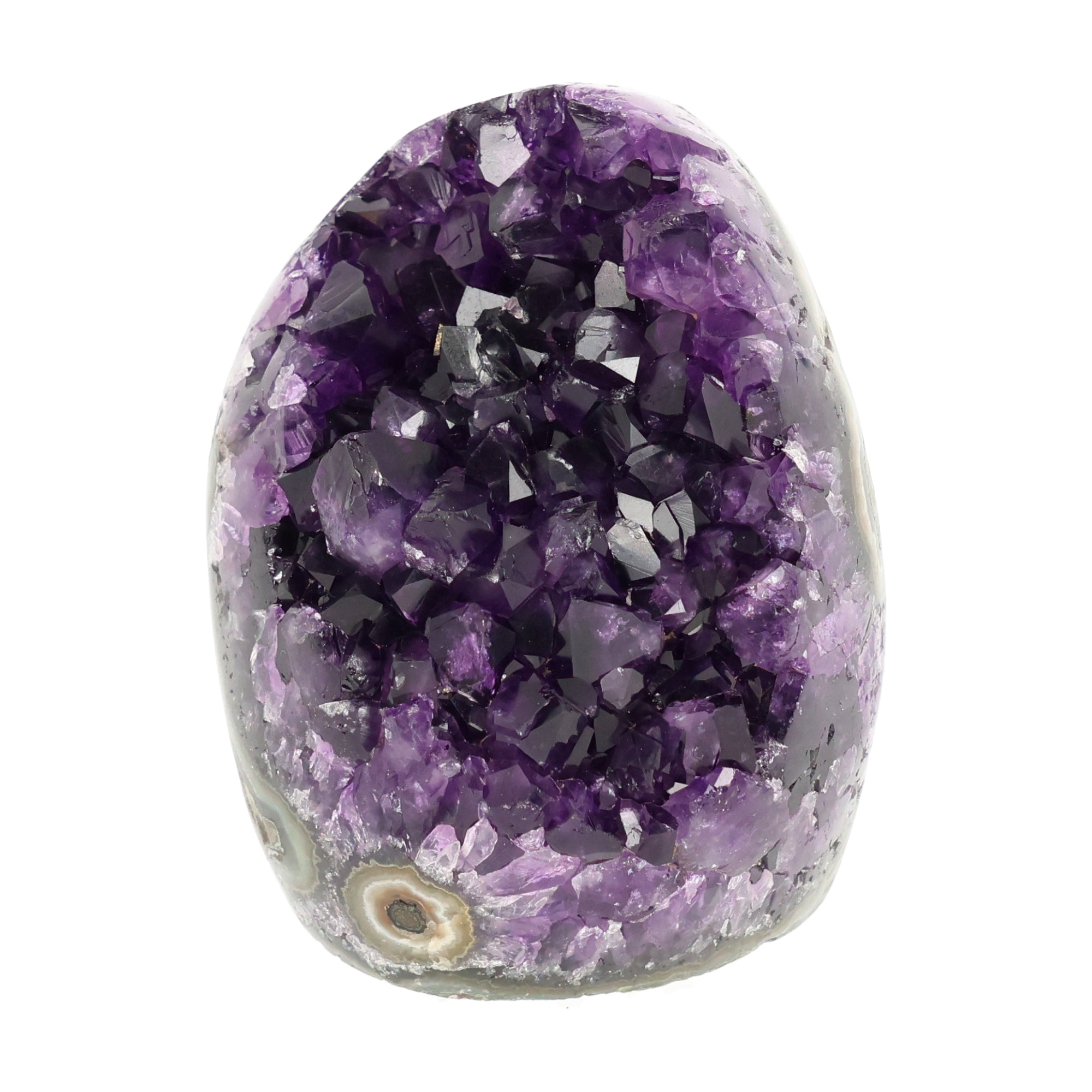 Mehrere hochwertige Amethyst Mini Cut Bases aus Uruguay mit dicht gewachsenen, tiefvioletten Kristallen auf einer Präsentationsfläche.