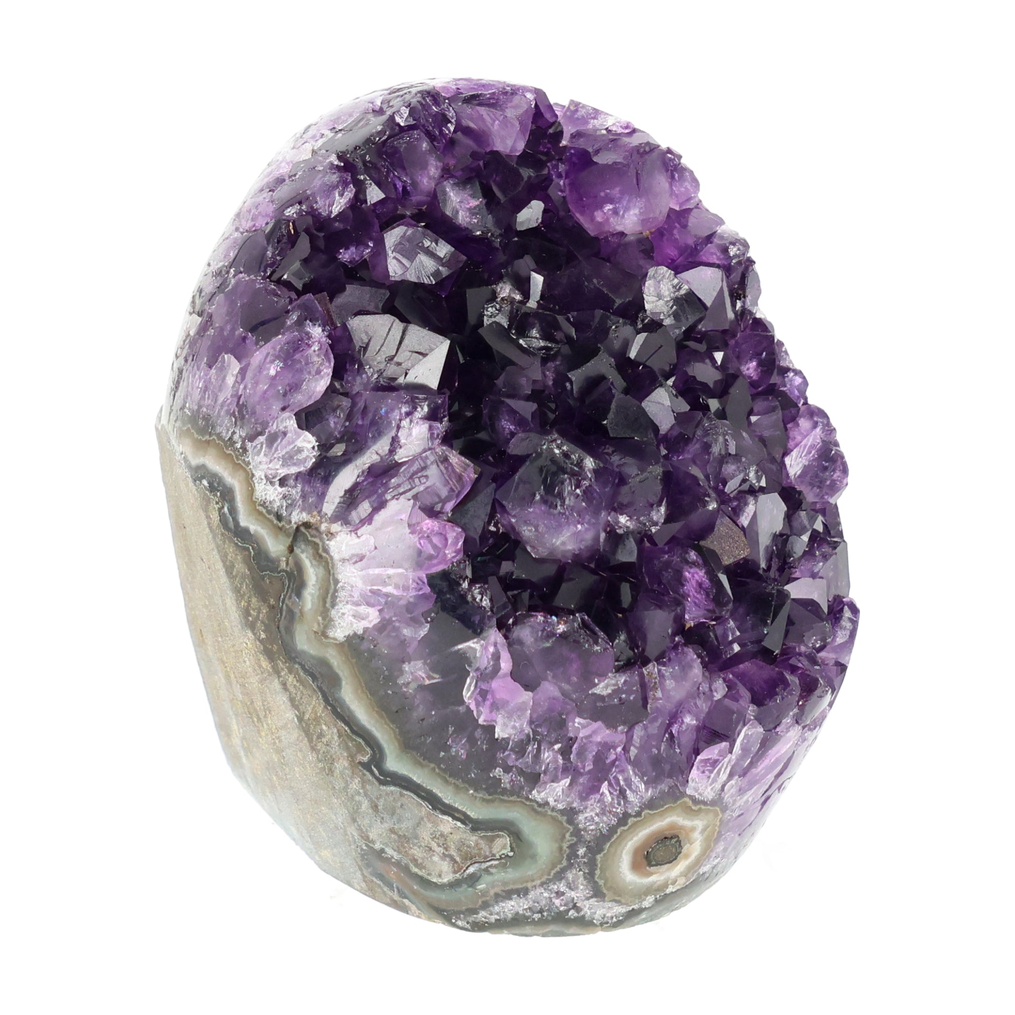 Mehrere hochwertige Amethyst Mini Cut Bases aus Uruguay mit dicht gewachsenen, tiefvioletten Kristallen auf einer Präsentationsfläche.