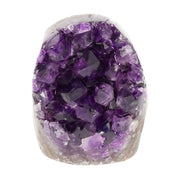 Mehrere hochwertige Amethyst Mini Cut Bases aus Uruguay mit dicht gewachsenen, tiefvioletten Kristallen auf einer Präsentationsfläche.