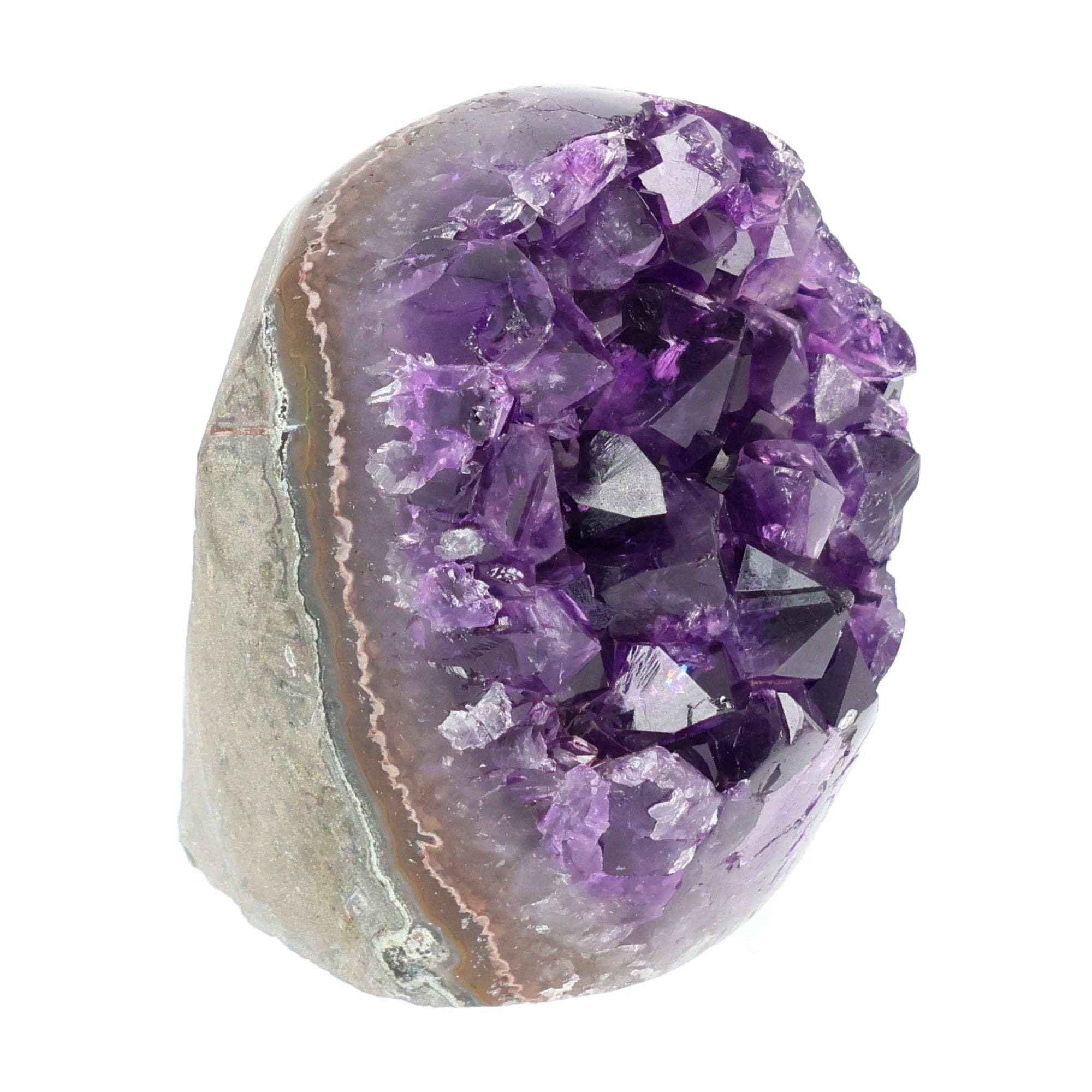 Mehrere hochwertige Amethyst Mini Cut Bases aus Uruguay mit dicht gewachsenen, tiefvioletten Kristallen auf einer Präsentationsfläche.