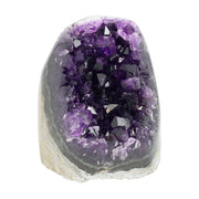 Mehrere hochwertige Amethyst Mini Cut Bases aus Uruguay mit dicht gewachsenen, tiefvioletten Kristallen auf einer Präsentationsfläche.