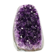 Mehrere hochwertige Amethyst Mini Cut Bases aus Uruguay mit dicht gewachsenen, tiefvioletten Kristallen auf einer Präsentationsfläche.