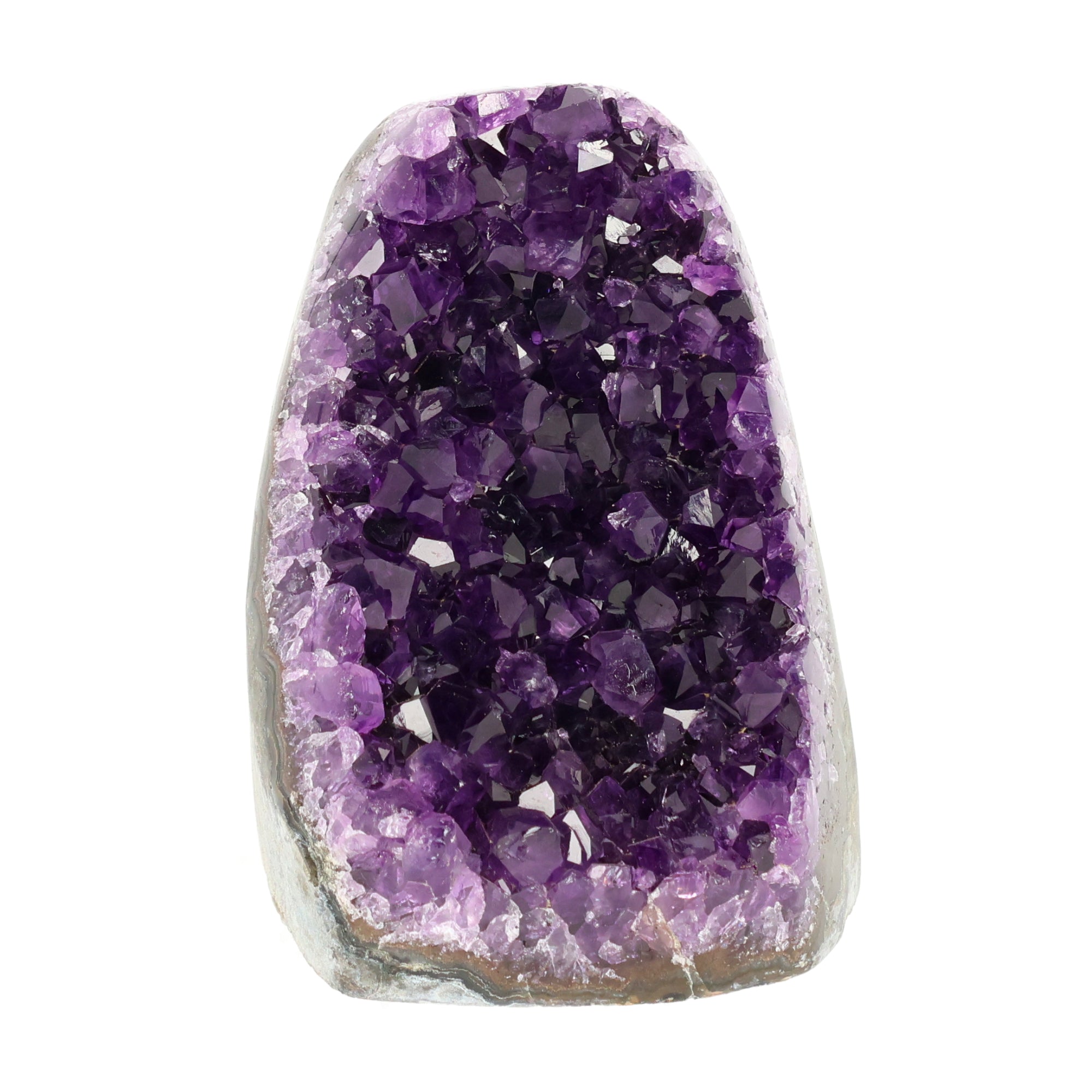 Mehrere hochwertige Amethyst Mini Cut Bases aus Uruguay mit dicht gewachsenen, tiefvioletten Kristallen auf einer Präsentationsfläche.