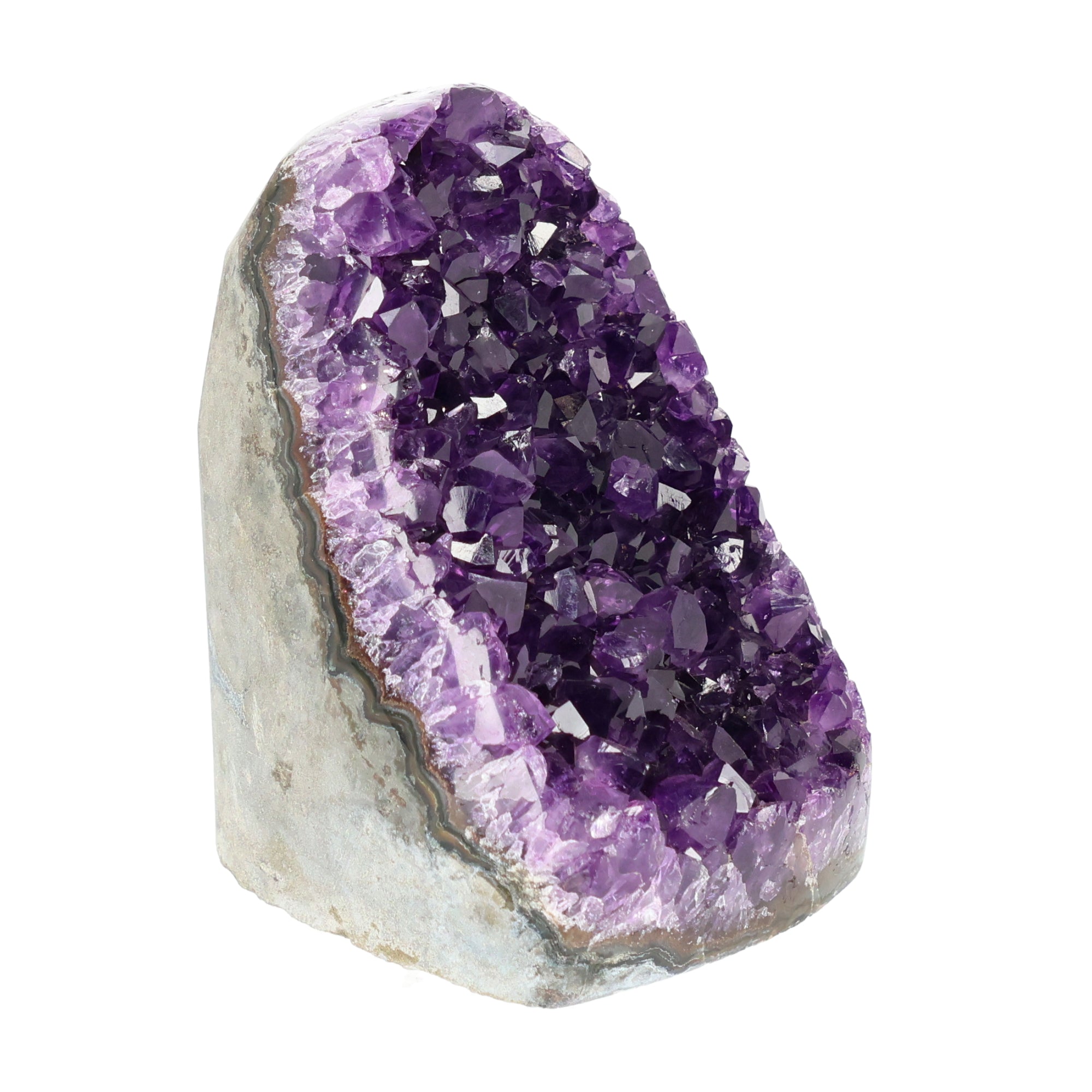 Mehrere hochwertige Amethyst Mini Cut Bases aus Uruguay mit dicht gewachsenen, tiefvioletten Kristallen auf einer Präsentationsfläche.