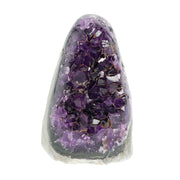 Mehrere hochwertige Amethyst Mini Cut Bases aus Uruguay mit dicht gewachsenen, tiefvioletten Kristallen auf einer Präsentationsfläche.