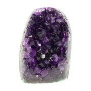 Mehrere hochwertige Amethyst Mini Cut Bases aus Uruguay mit dicht gewachsenen, tiefvioletten Kristallen auf einer Präsentationsfläche.