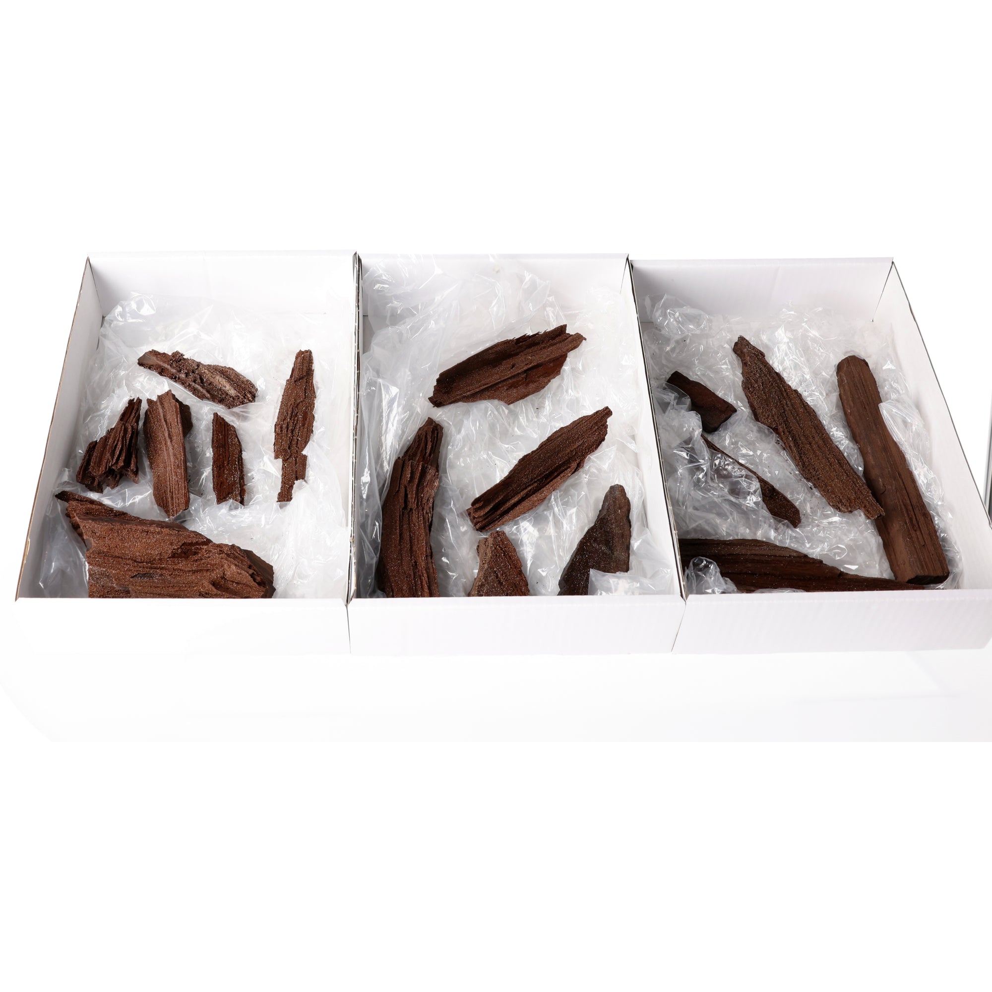 Flat Feenholz mit natürlicher Kristallbildung | Versteinertes Holz aus Zwenkau |  (#726)
