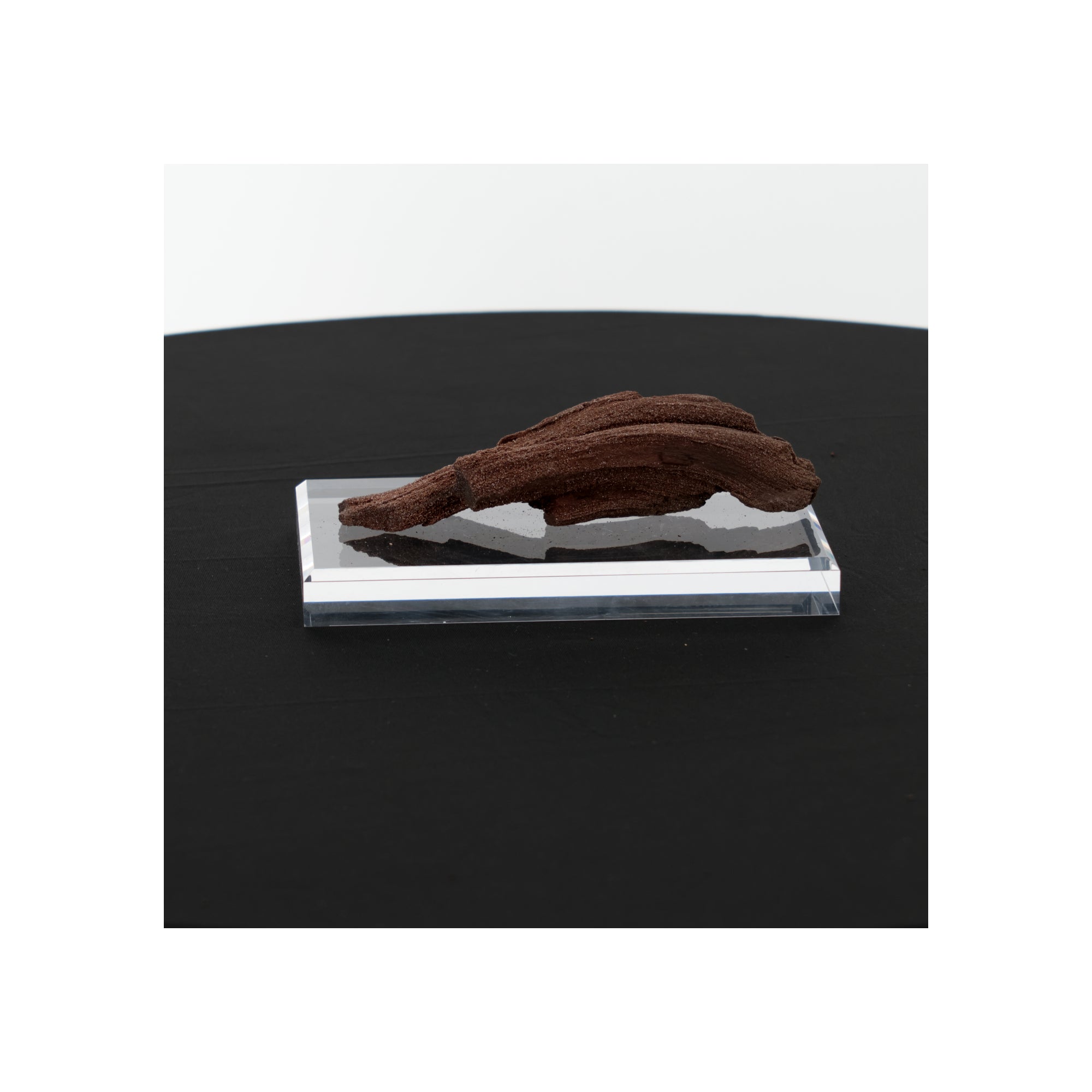 Feenholz mit natürlicher Kristallbildung | Versteinertes Holz aus Zwenkau | 185g
