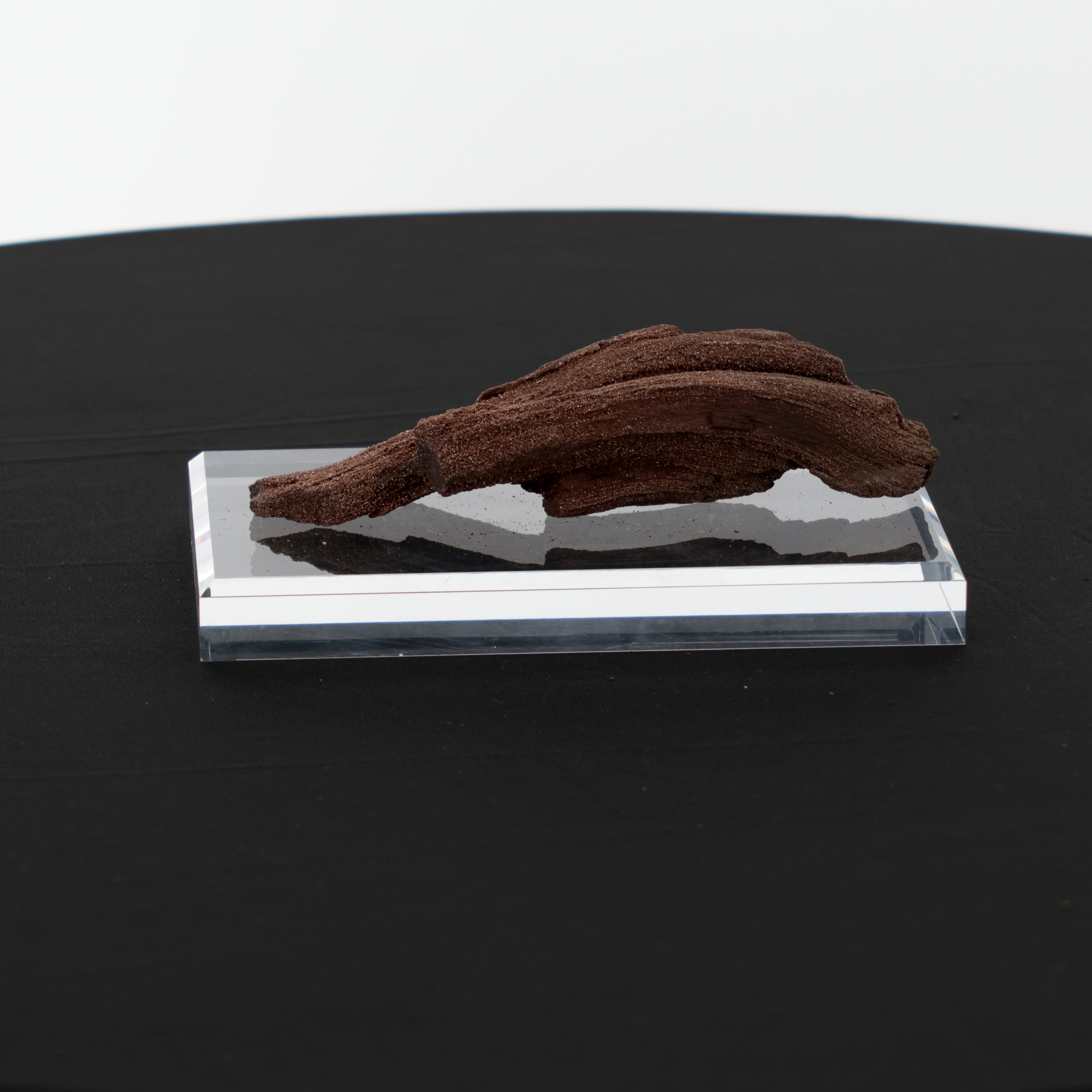 Feenholz mit natürlicher Kristallbildung | Versteinertes Holz aus Zwenkau | 185g
