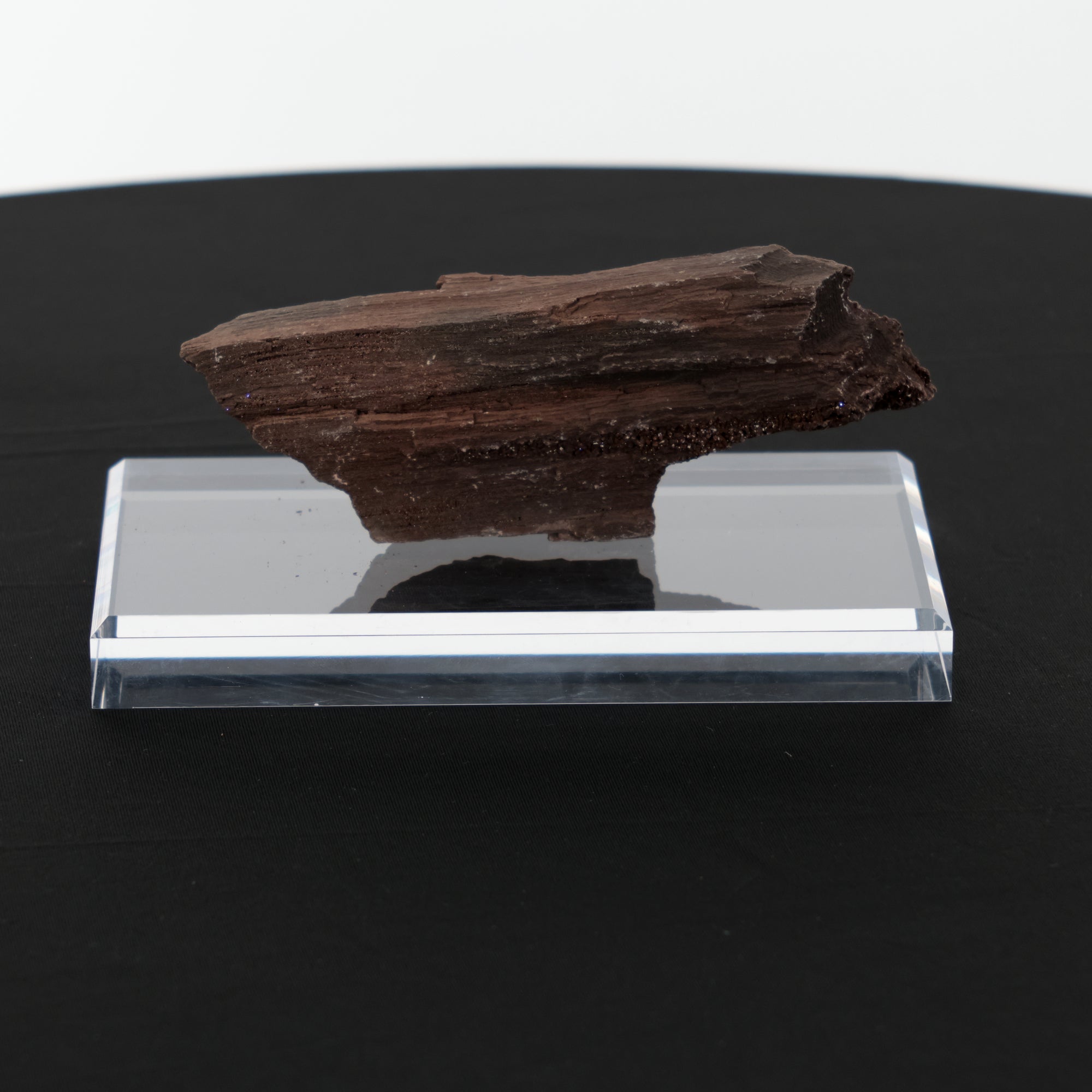 Feenholz mit natürlicher Kristallbildung | Versteinertes Holz aus Zwenkau | 340g