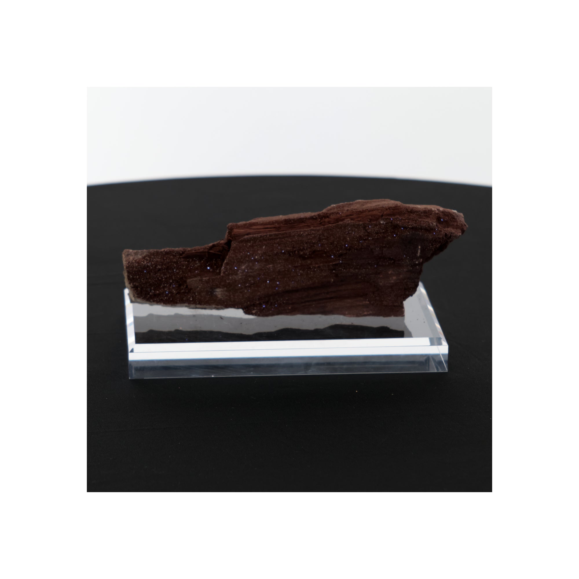 Feenholz mit natürlicher Kristallbildung | Versteinertes Holz aus Zwenkau | 374g