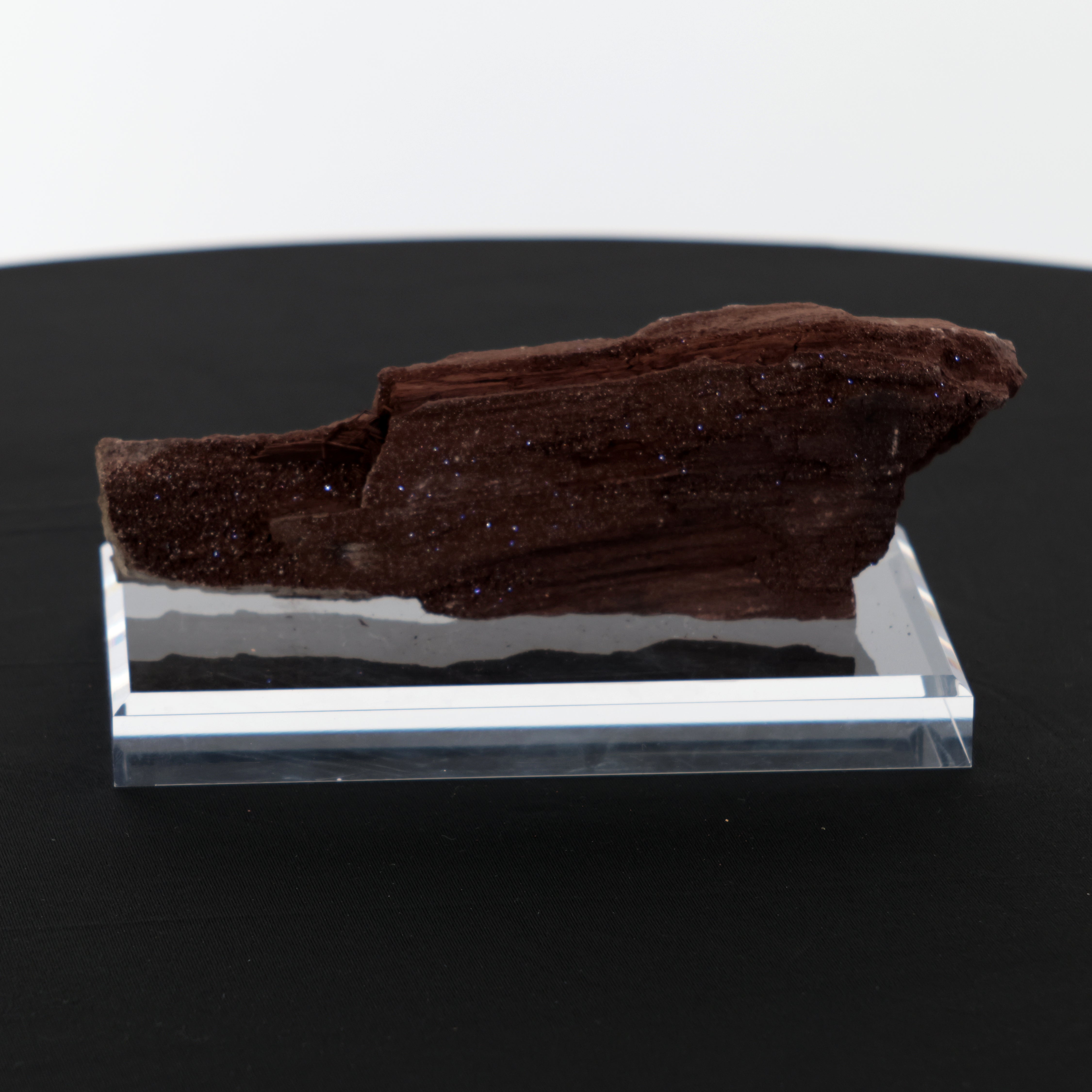 Feenholz mit natürlicher Kristallbildung | Versteinertes Holz aus Zwenkau | 374g