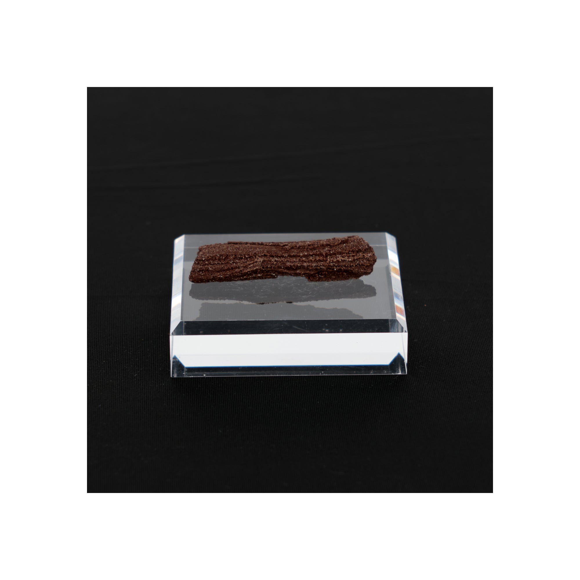 Feenholz mit natürlicher Kristallbildung | Versteinertes Holz aus Zwenkau | 13g