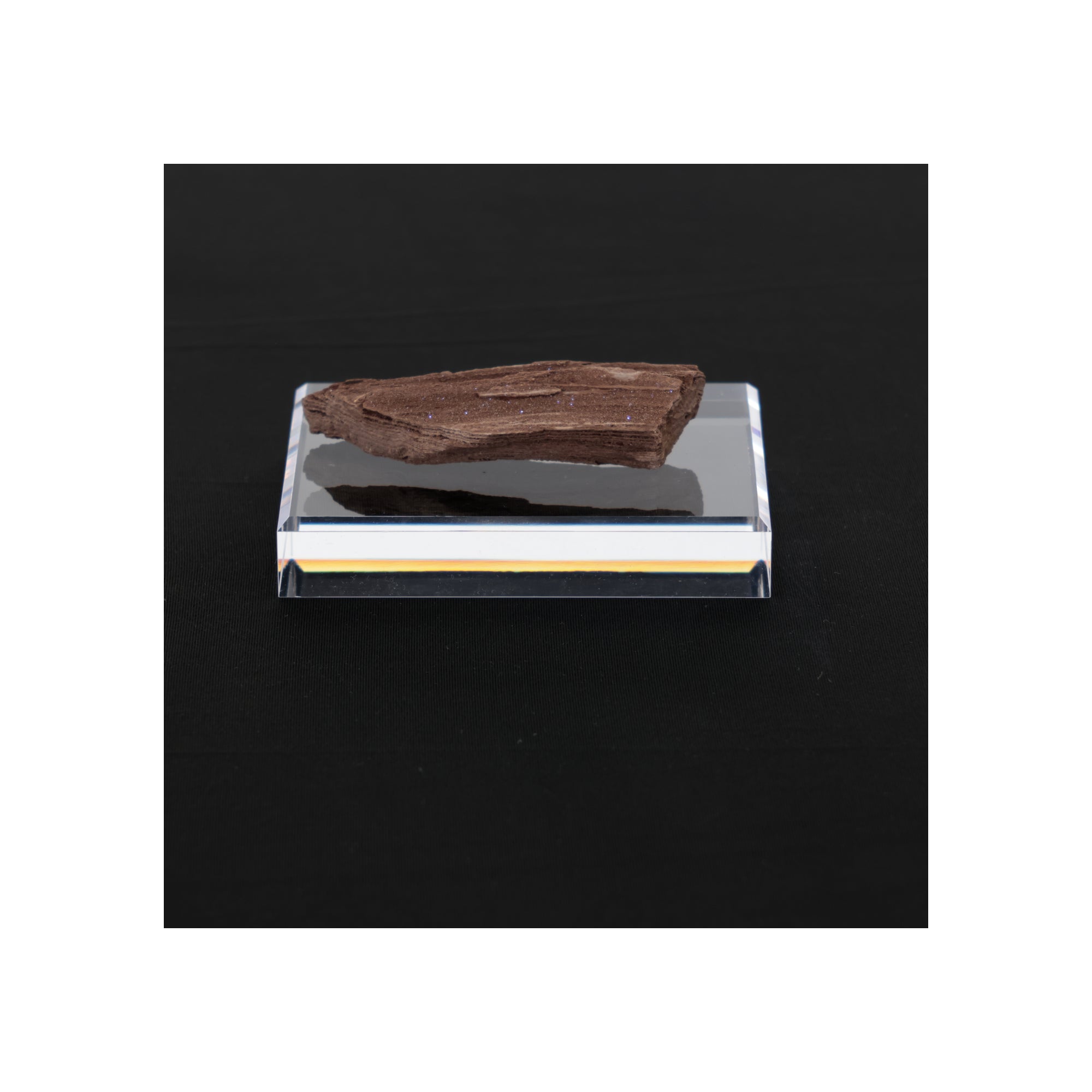 Feenholz mit natürlicher Kristallbildung | Versteinertes Holz aus Zwenkau | 48g