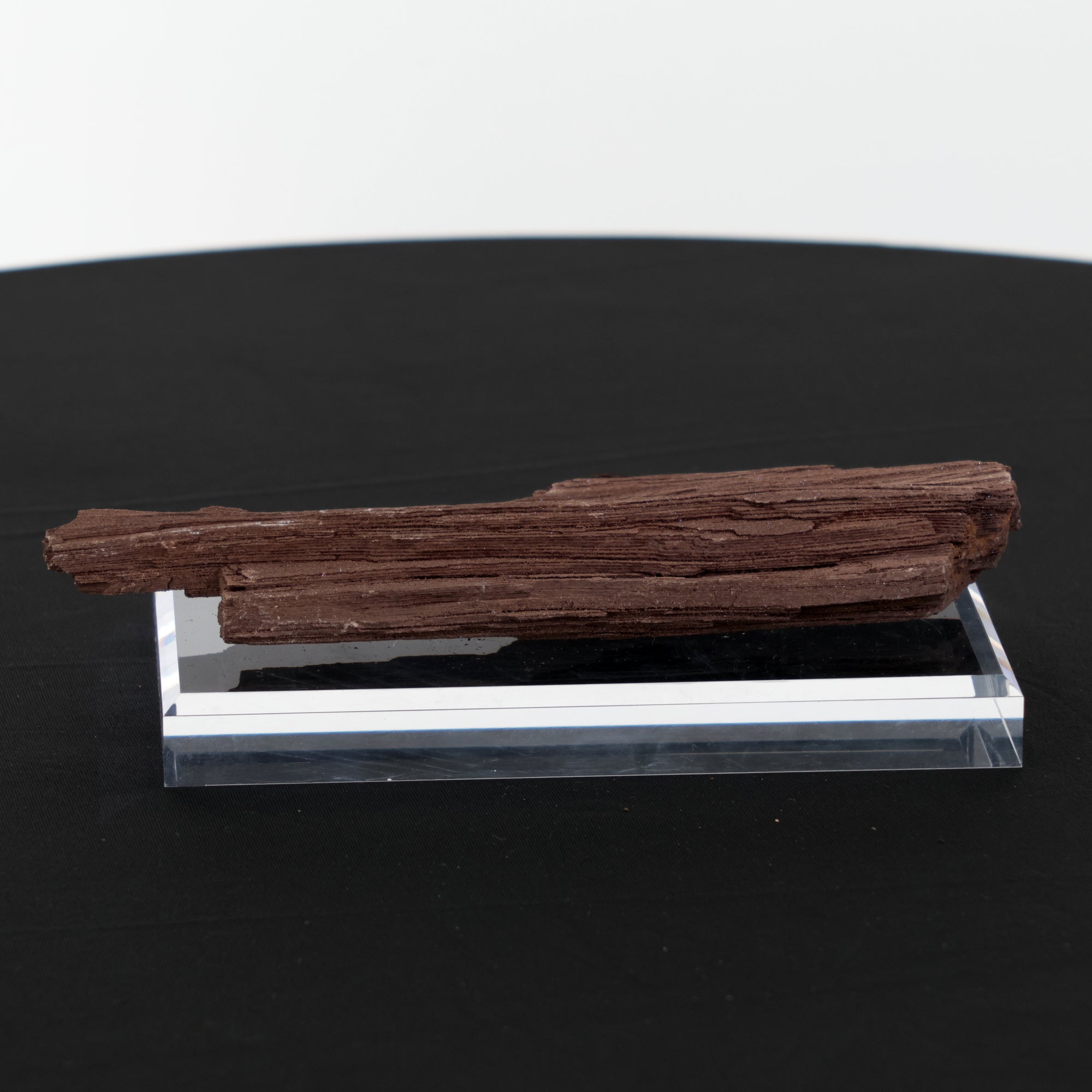 Feenholz mit natürlicher Kristallbildung | Versteinertes Holz aus Zwenkau | 370g