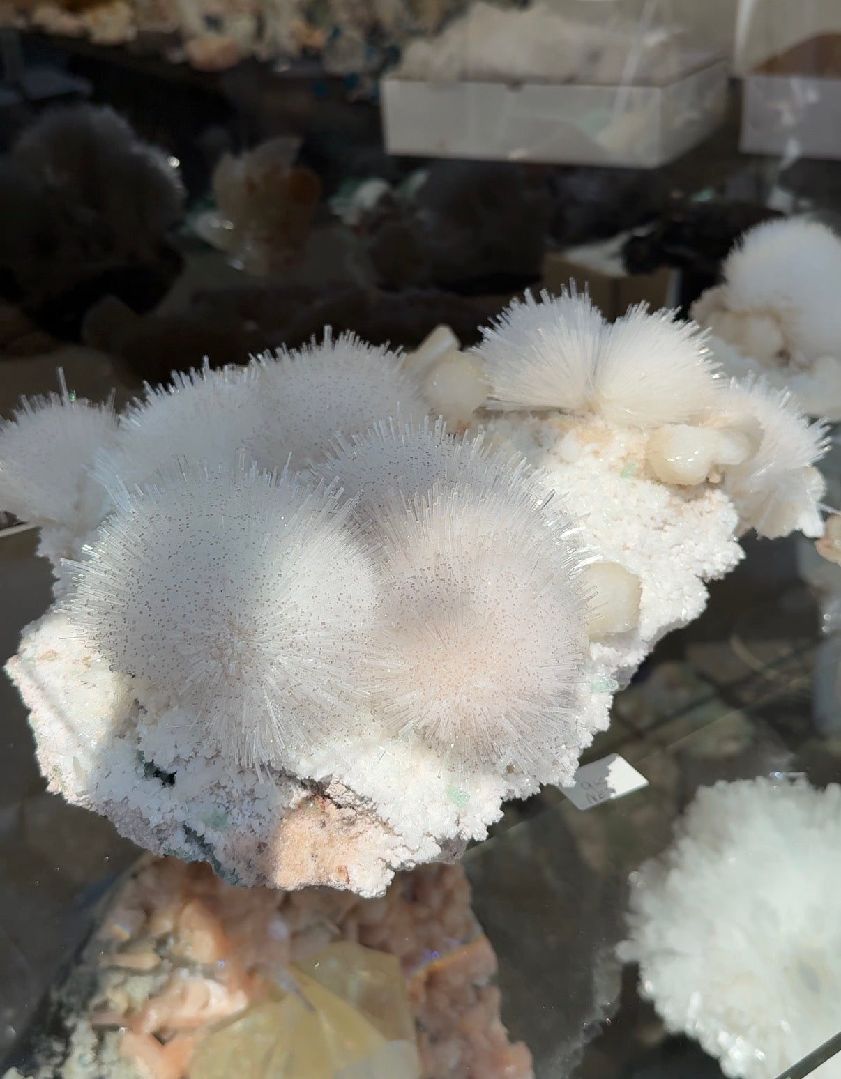 Crystal Bloom - Collector Mineral aus Mumbai
